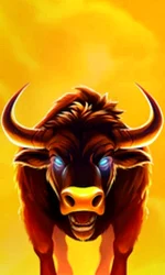 Big Wild Buffalo 2